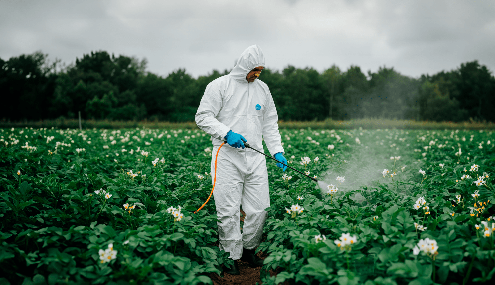 Control de plagas especializado con fumigación profesional